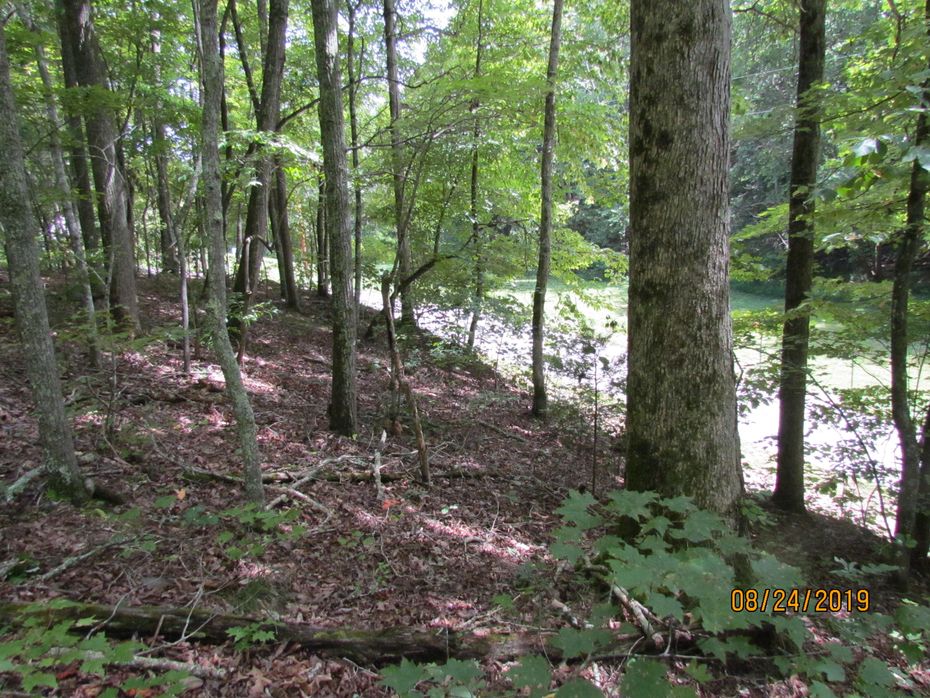 3 A Estes Road Loudon, TN 37774 - Photo 18 of 21 38