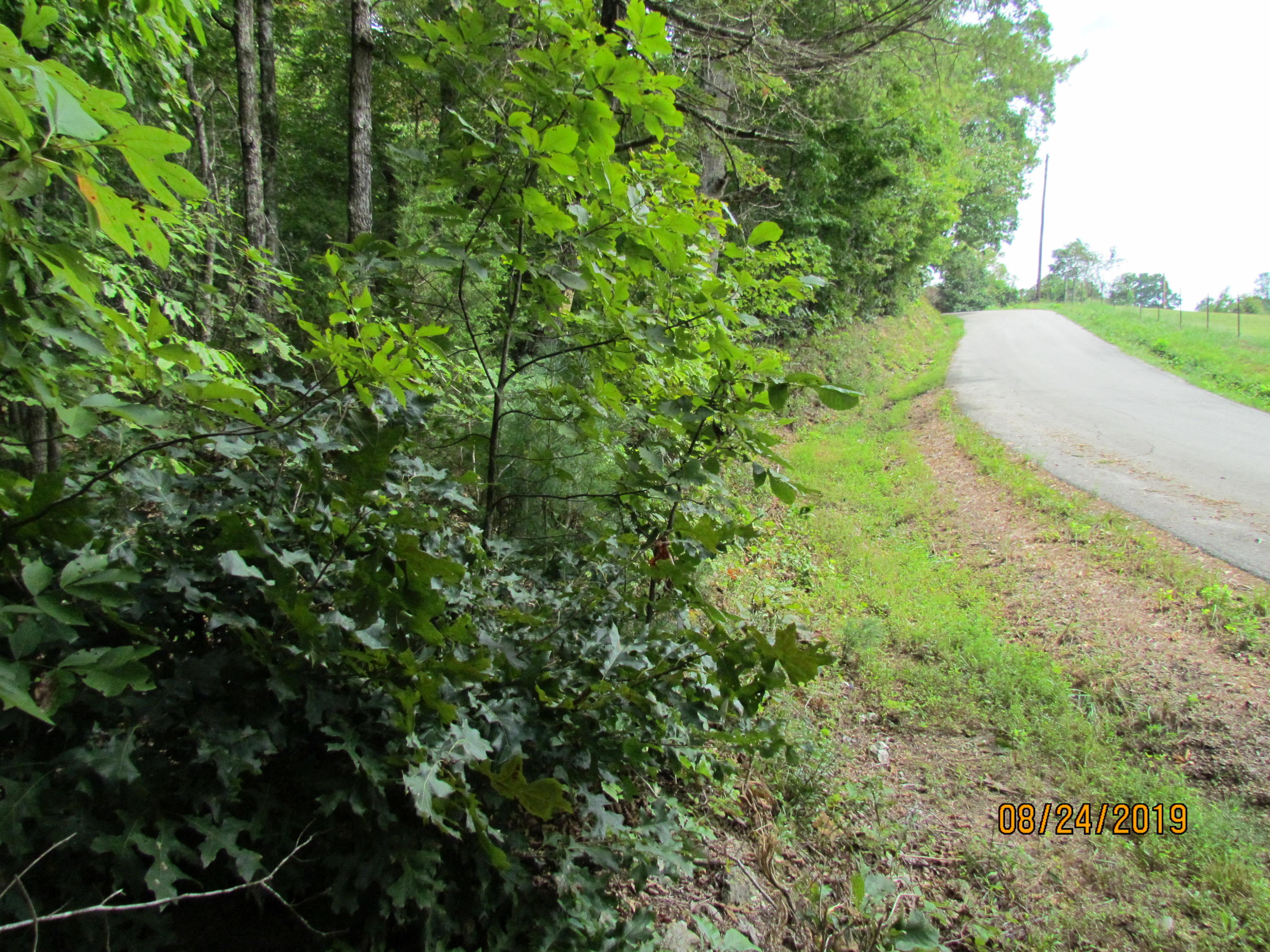 3 A Estes Road Loudon, TN 37774 - Photo 20 of 21 44