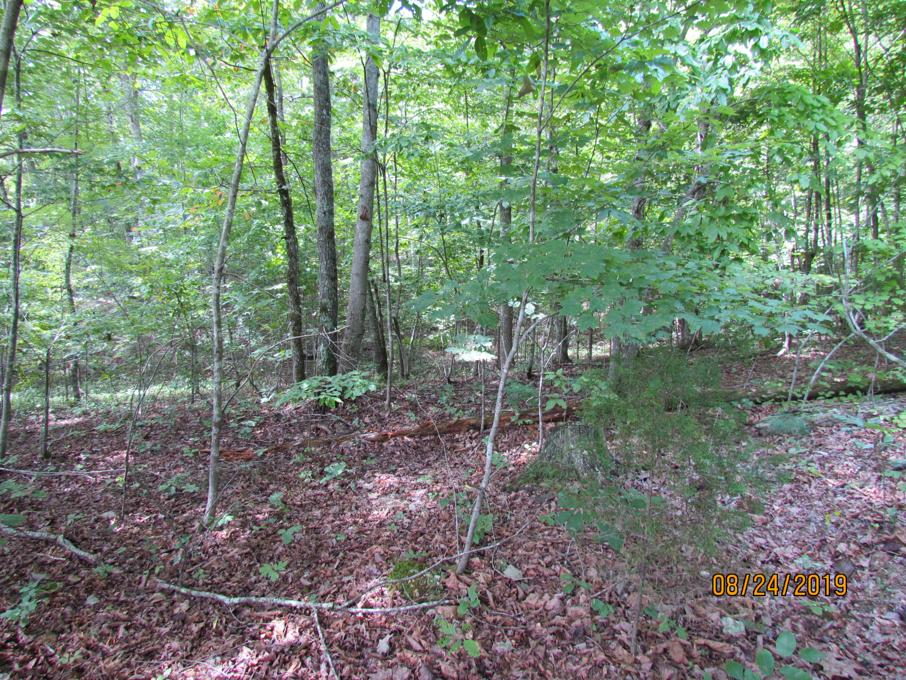 3 A Estes Road Loudon, TN 37774 - Photo 3 of 21 4