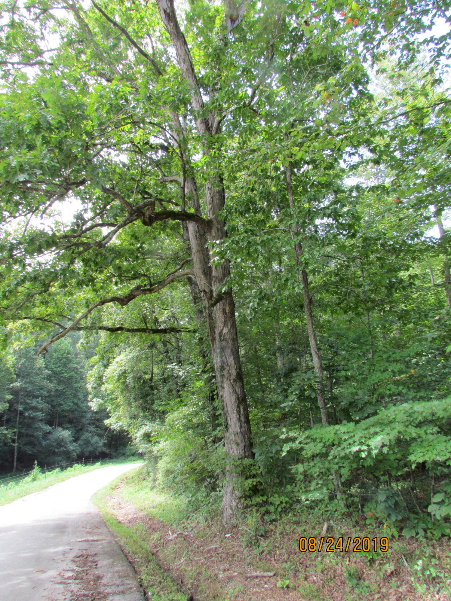 3 A Estes Road Loudon, TN 37774 - Photo 21 of 21 3