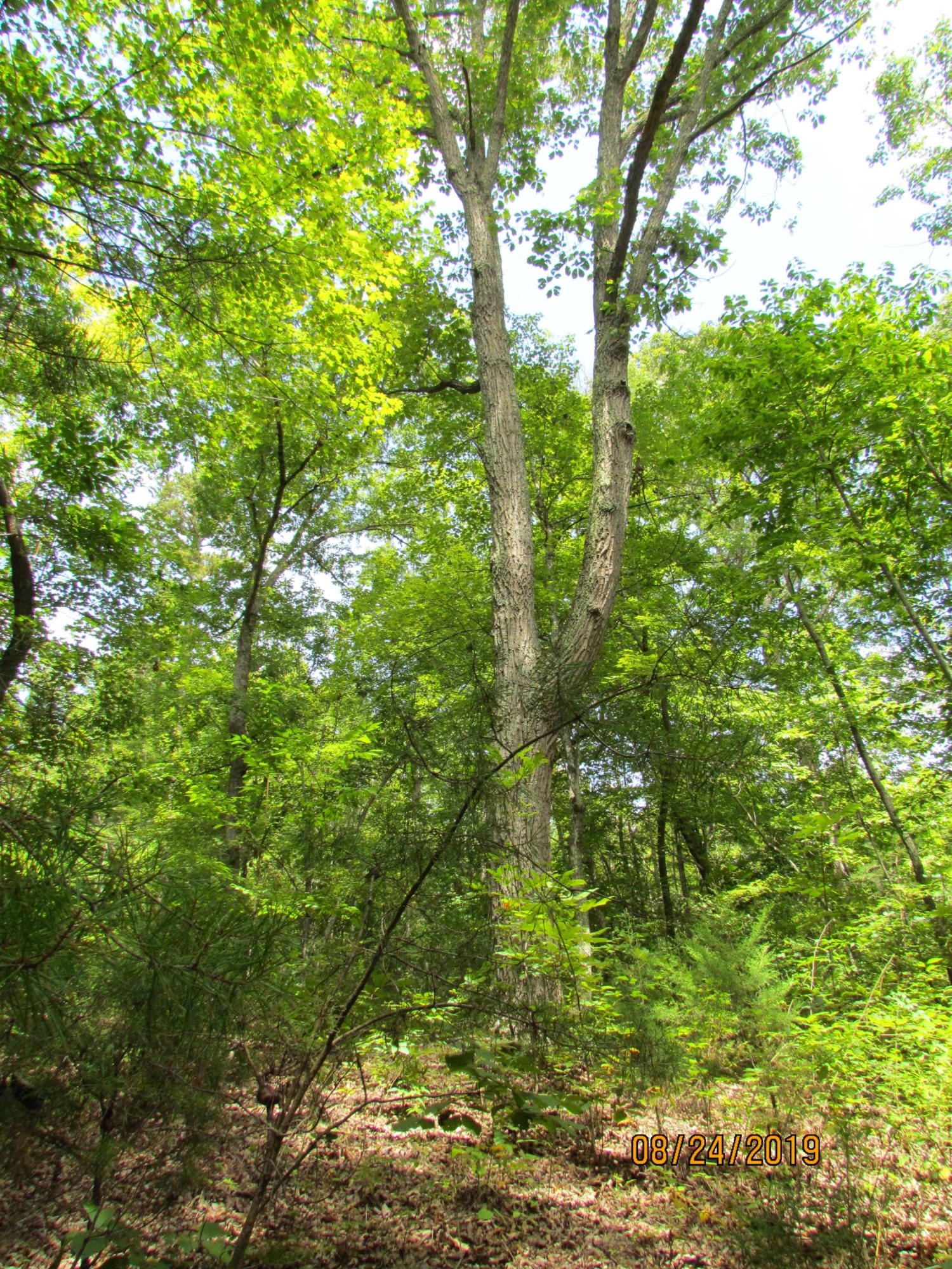 3 A Estes Road Loudon, TN 37774 - Photo 4 of 21 24