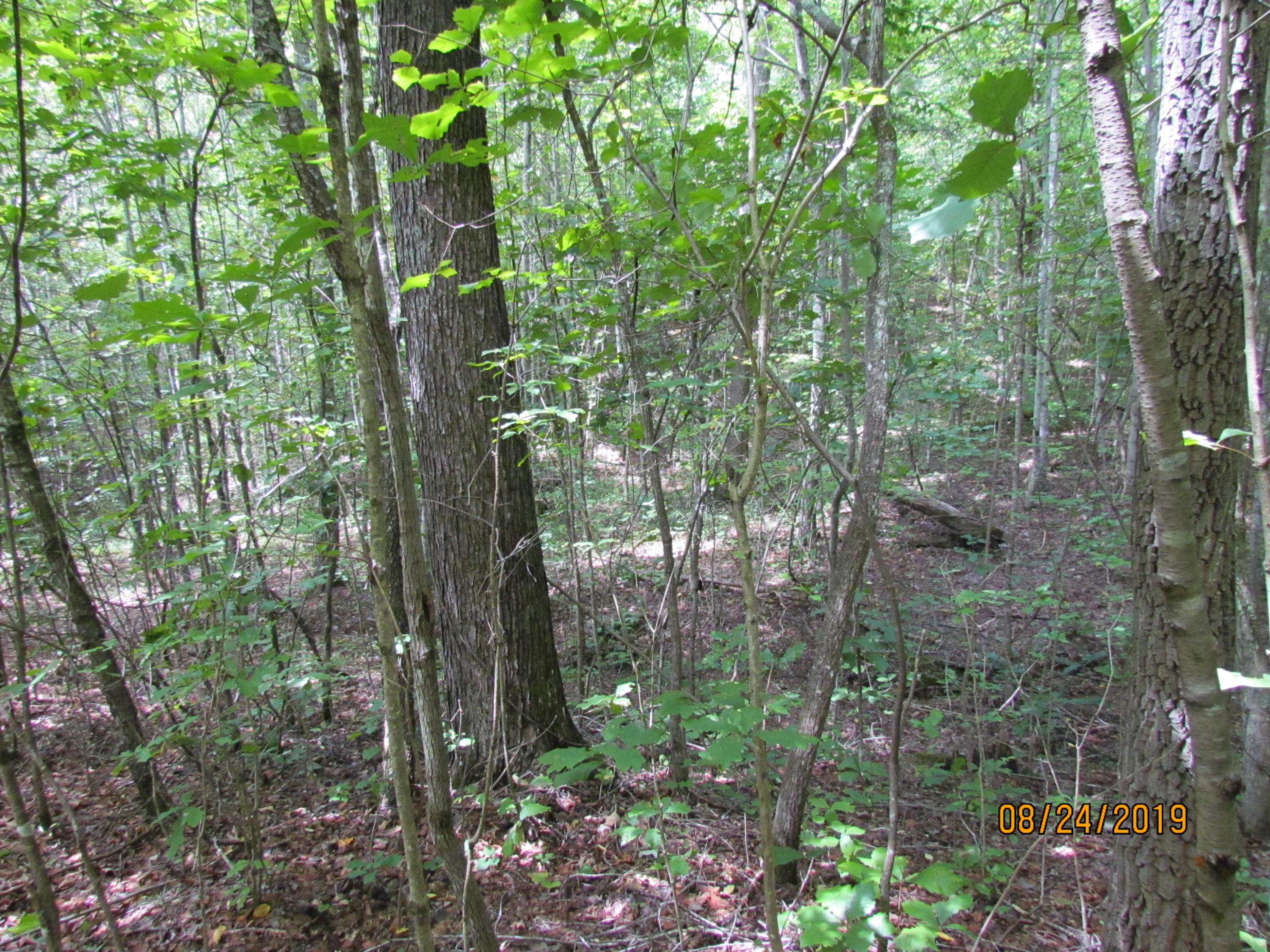 3 A Estes Road Loudon, TN 37774 - Photo 7 of 21 6