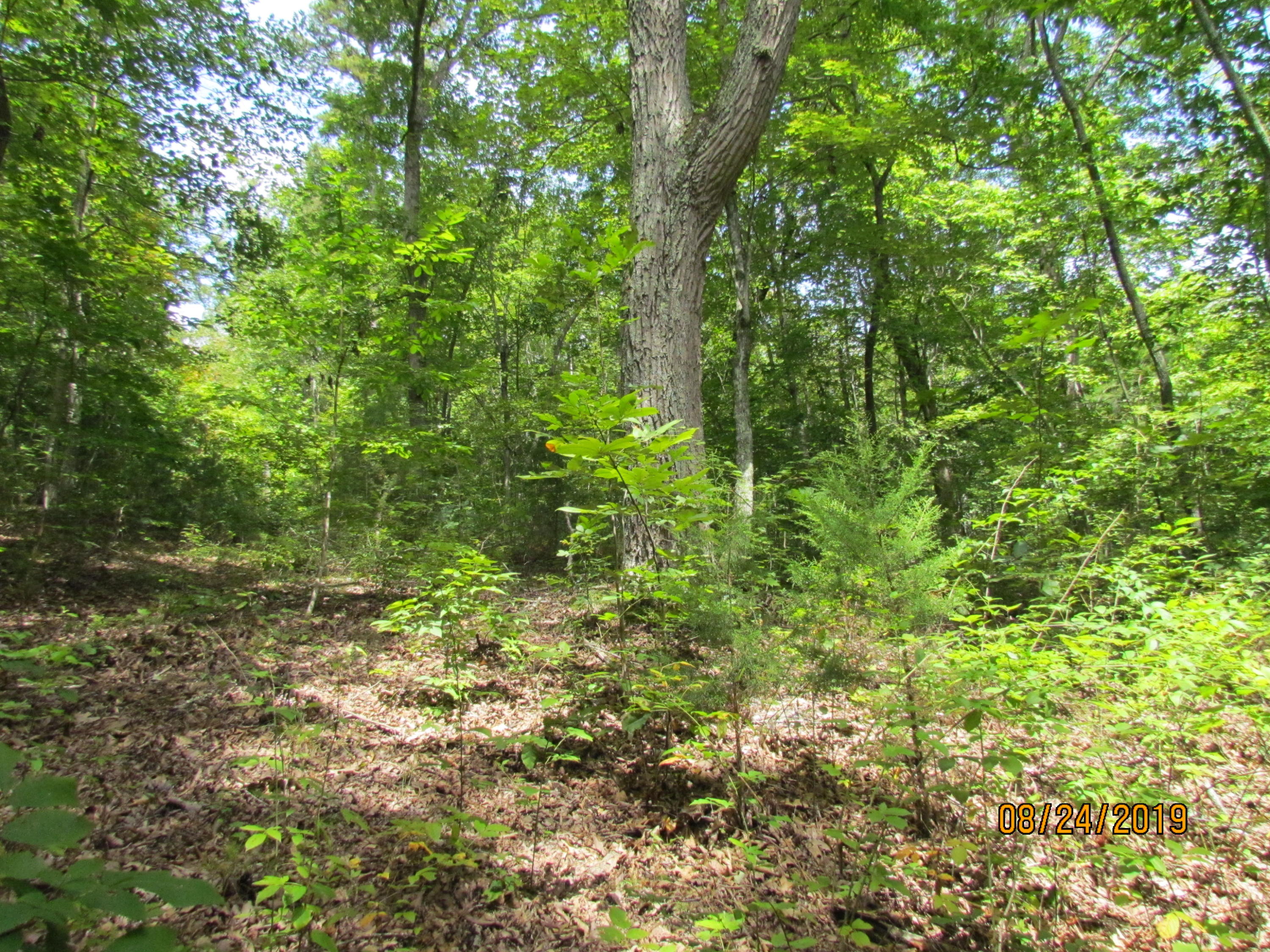 3 A Estes Road Loudon, TN 37774 - Photo 8 of 21 26
