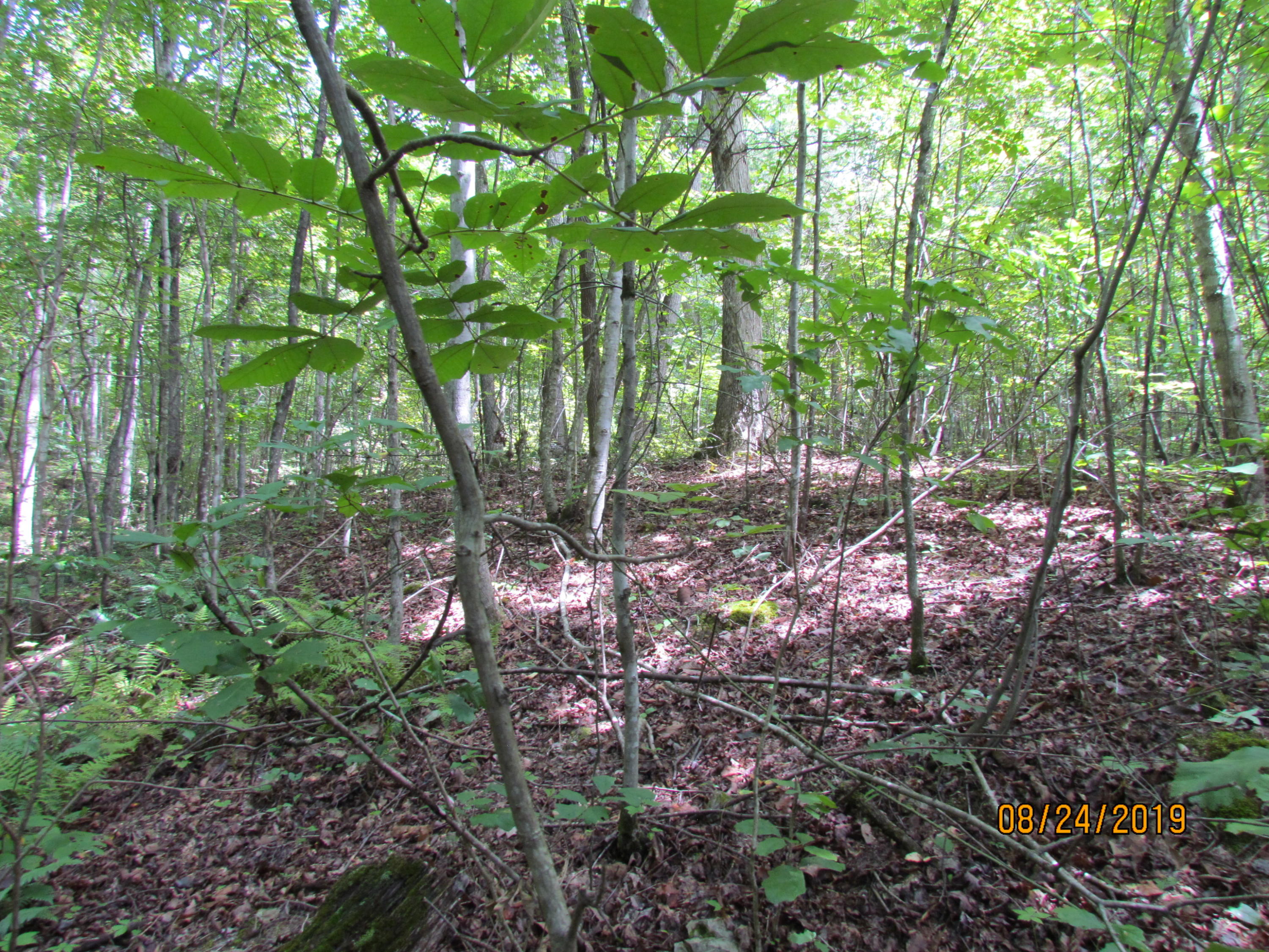 3 A Estes Road Loudon, TN 37774 - Photo 9 of 21 7