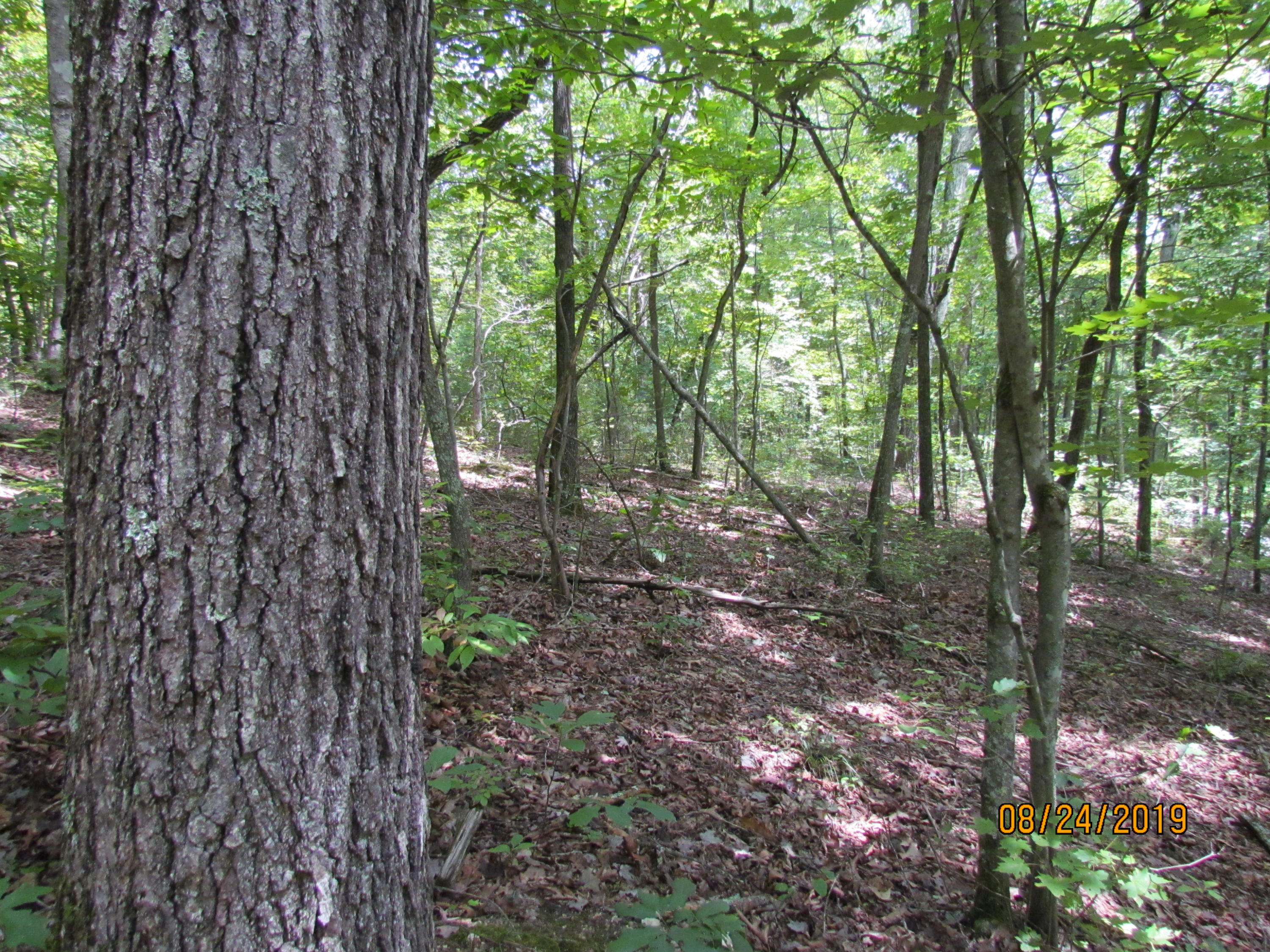 3 A Estes Road Loudon, TN 37774 - Photo 10 of 21 22