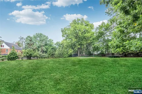 a view of a big yard with plants and large trees
