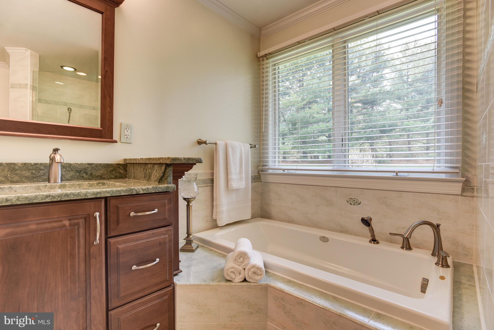 5505 Ten Oaks Road Clarksville, MD 21029 - Photo 29 of 67 Primary Bath