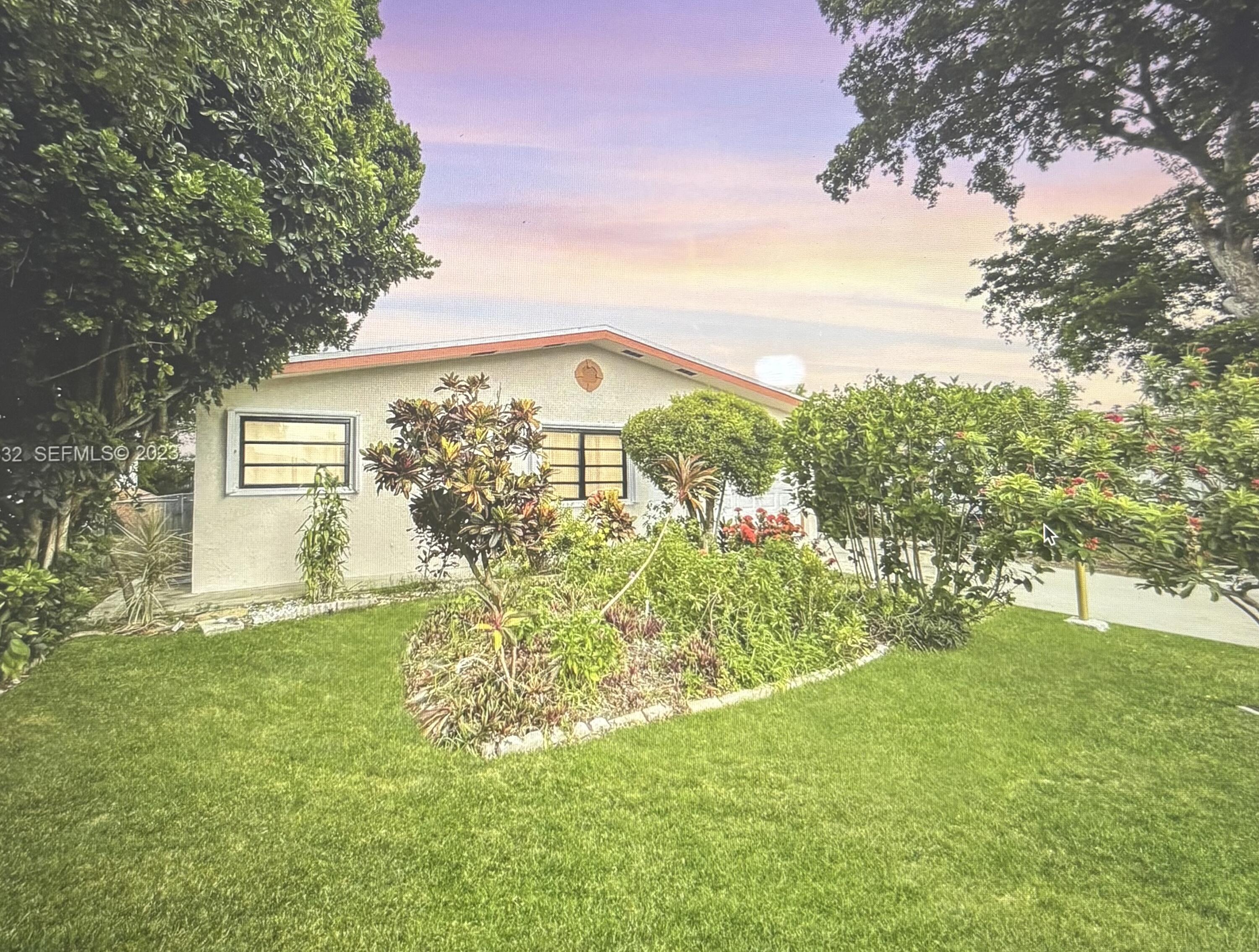 a view of a big yard with an tree and plants