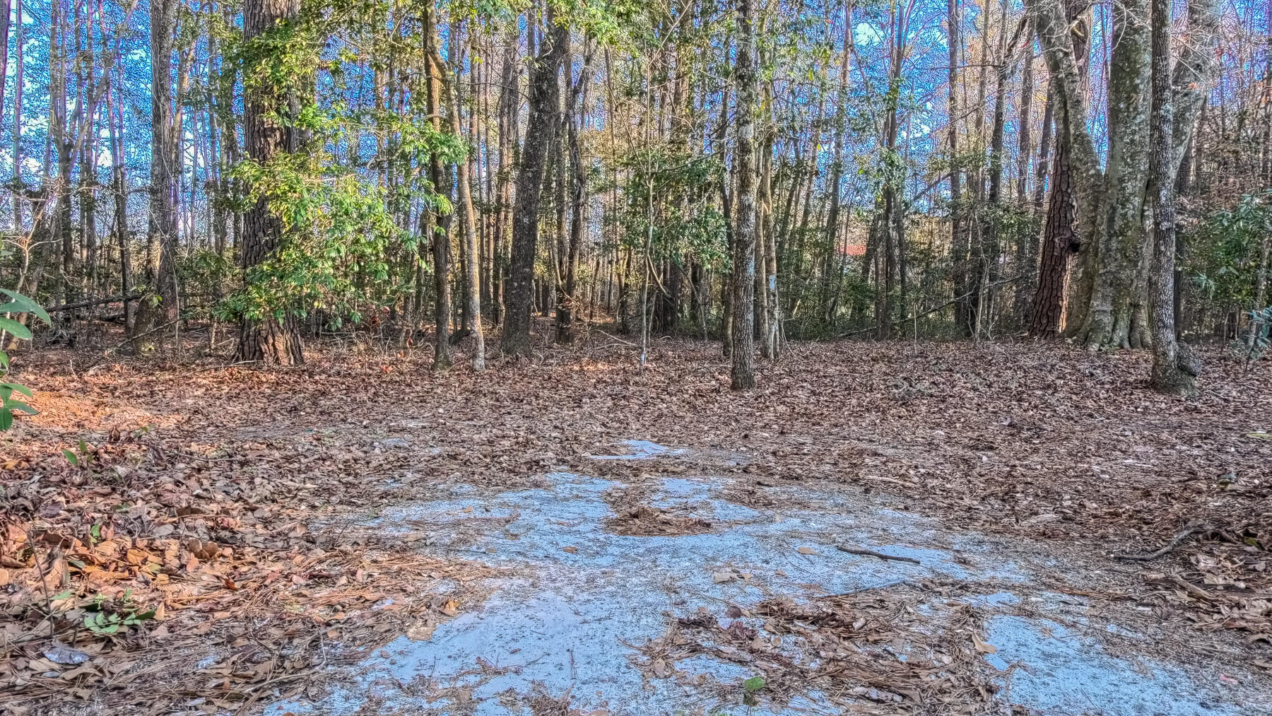 1644 Ranger Drive Cross, SC 29436 - Photo 36 of 46 KC-95