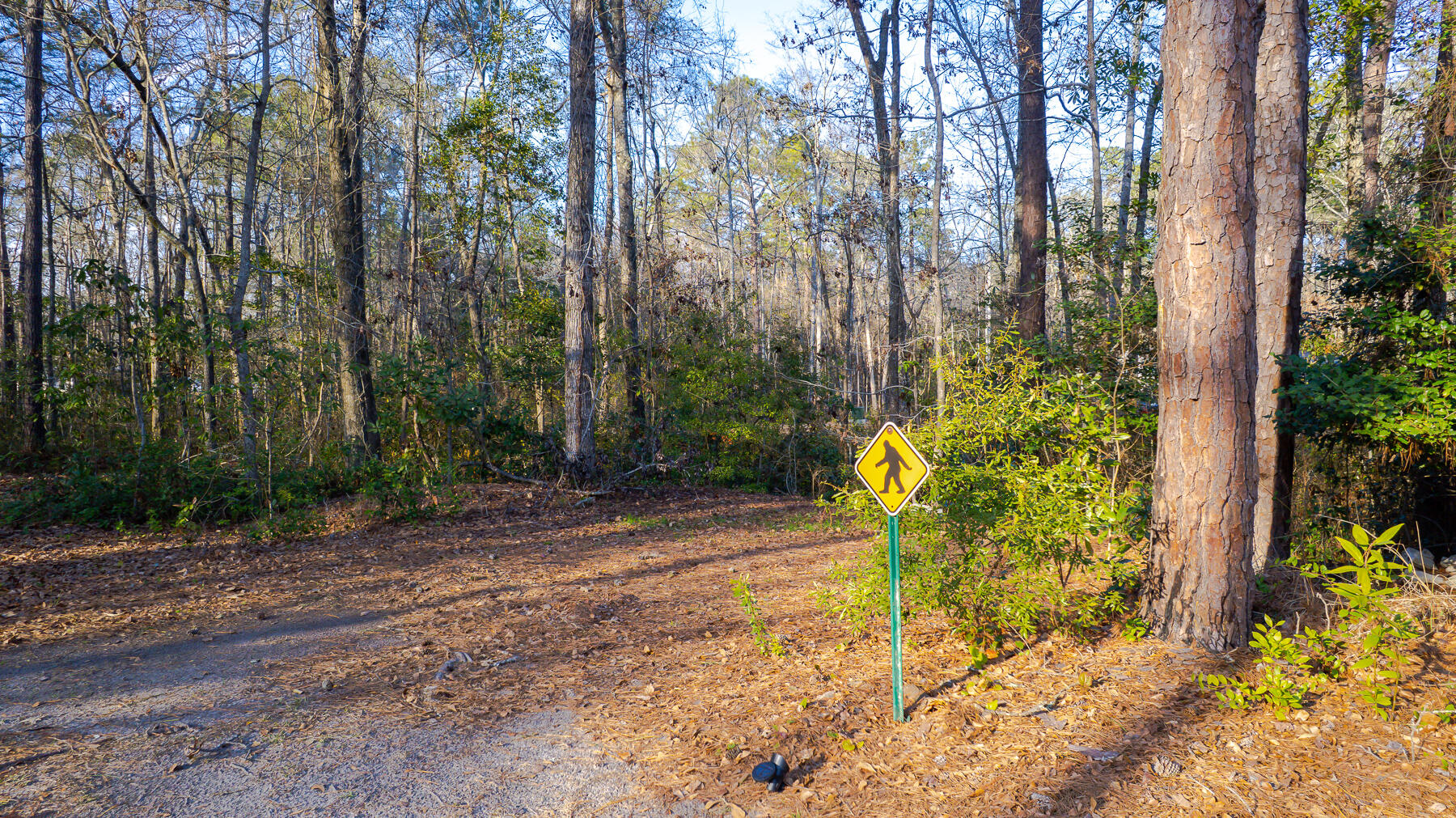1644 Ranger Drive Cross, SC 29436 - Photo 37 of 46 KC-72