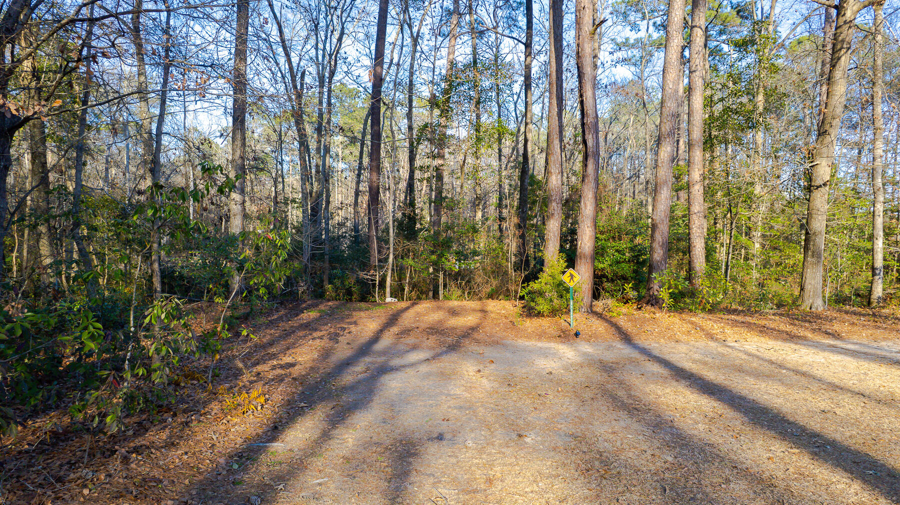 1644 Ranger Drive Cross, SC 29436 - Photo 39 of 46 KC-71