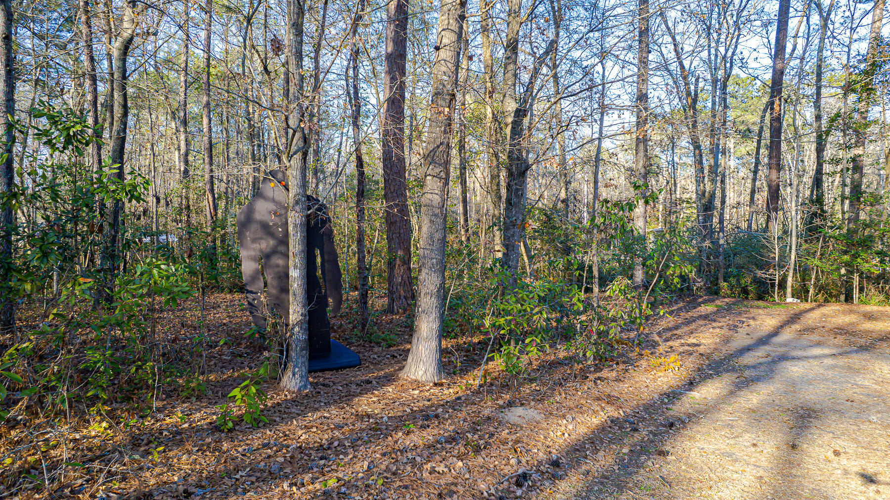 1644 Ranger Drive Cross, SC 29436 - Photo 40 of 46 KC-70