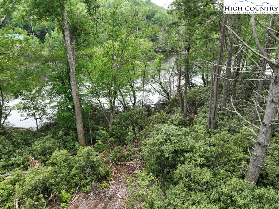 1772 Ripshin Mountain Road Roan Mountain, TN 37687 - Photo 2 of 29 a view of a forest with a tree