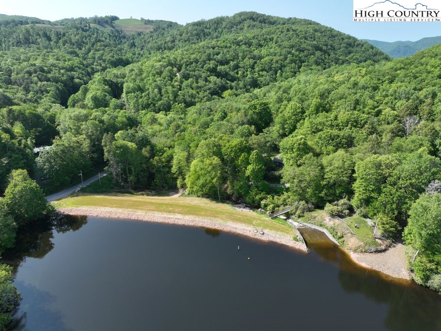 1772 Ripshin Mountain Road Roan Mountain, TN 37687 - Photo 23 of 29 a view of a swimming pool with a yard