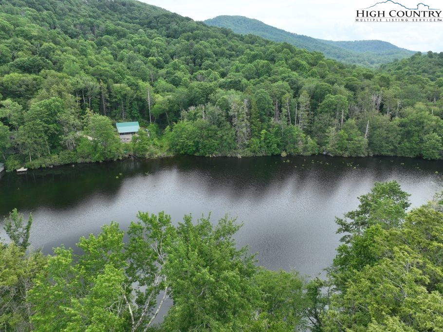 1772 Ripshin Mountain Road Roan Mountain, TN 37687 - Photo 3 of 29 an aerial view of a residential houses with outdoor space and lake view