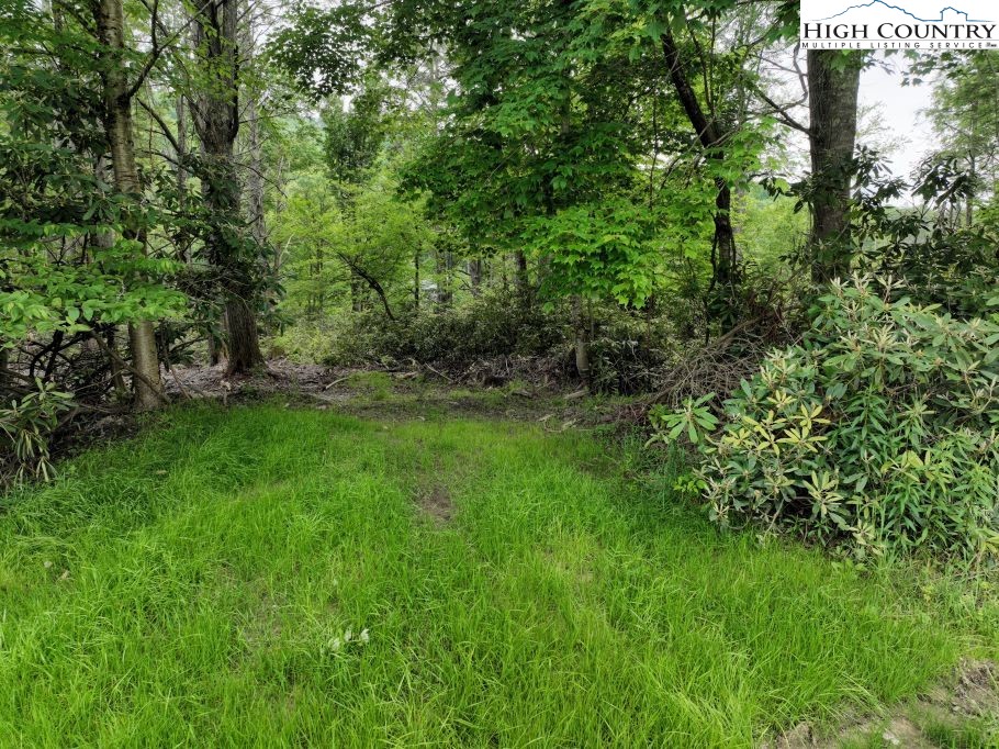 1772 Ripshin Mountain Road Roan Mountain, TN 37687 - Photo 4 of 29 a view of yard