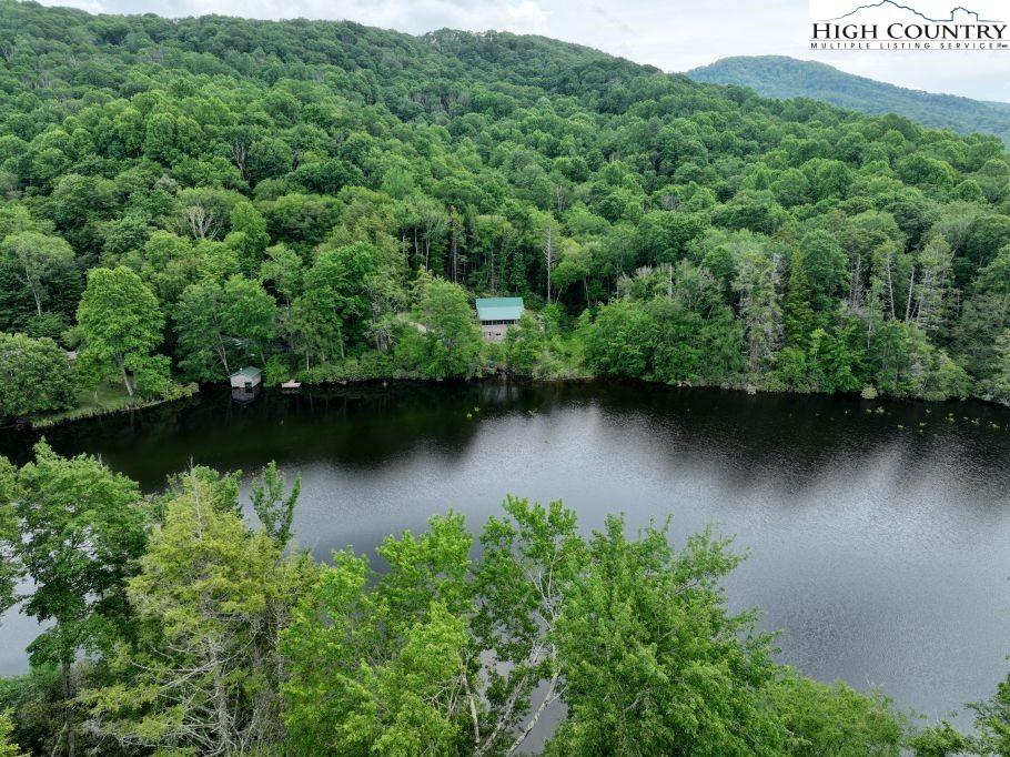 1772 Ripshin Mountain Road Roan Mountain, TN 37687 - Photo 5 of 29 an aerial view of a house with pool lake house in background with green space