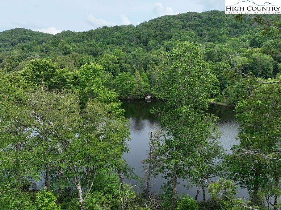 1772 Ripshin Mountain Road Roan Mountain, TN 37687 - Photo 9 of 29 a view of a forest with a lake
