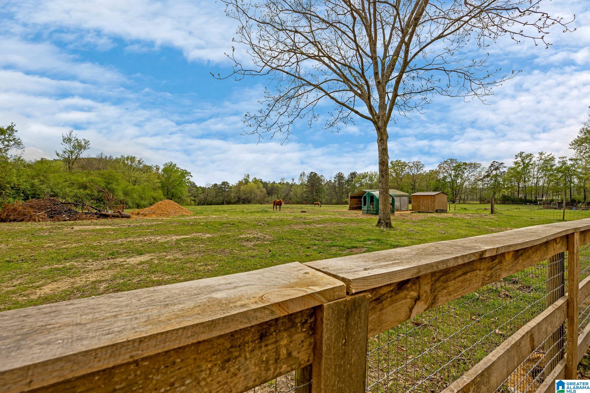 3237 Mud Creek Road Adger, AL 35006 - Photo 19 of 27