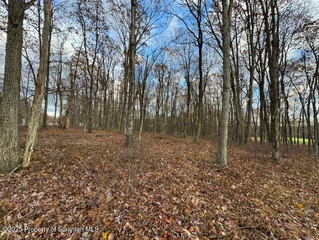 Lot 16 Crooked Stick Lane Hazleton, PA 18202 - Photo 2 of 11 a view of outdoor space with green space