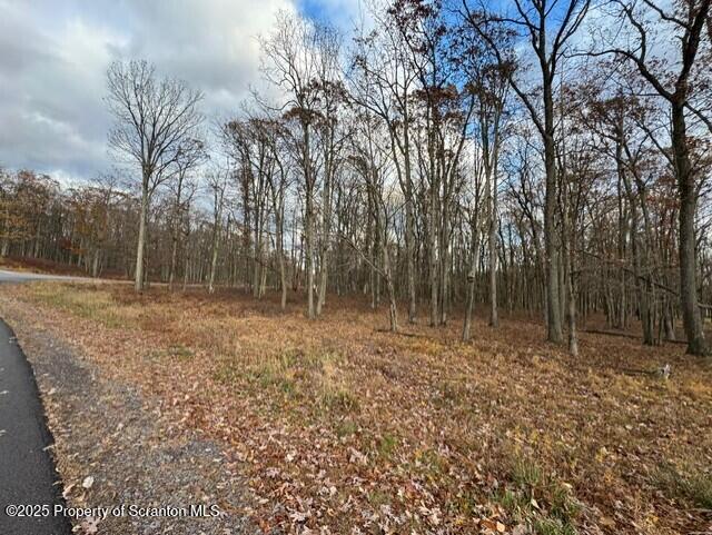 Lot 16 Crooked Stick Lane Hazleton, PA 18202 - Photo 6 of 11 a backyard of a house with lots of green space