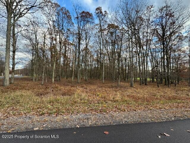 Lot 16 Crooked Stick Lane Hazleton, PA 18202 - Photo 7 of 11 a view of outdoor space with trees