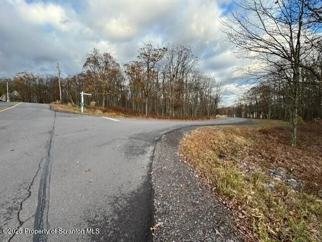 a view of a yard with large trees