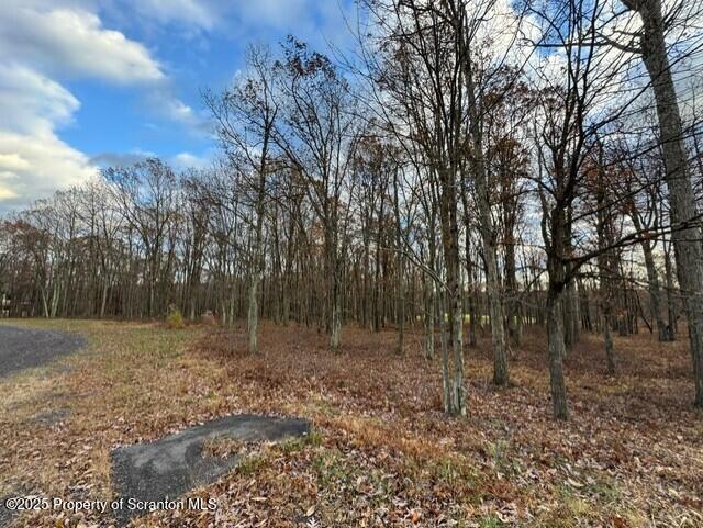 Lot 16 Crooked Stick Lane Hazleton, PA 18202 - Photo 10 of 11 a view of a forest with trees in the background