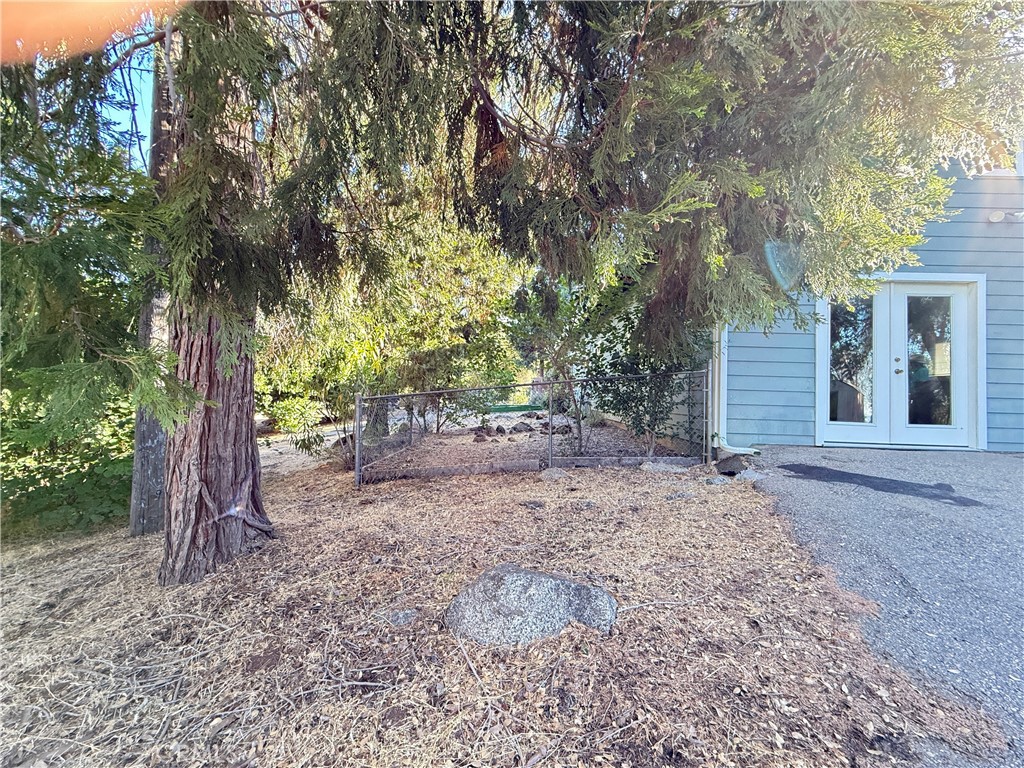 5452 Carleton Road Mariposa, CA 95338 - Photo 6 of 57 a backyard of a house with large trees and table