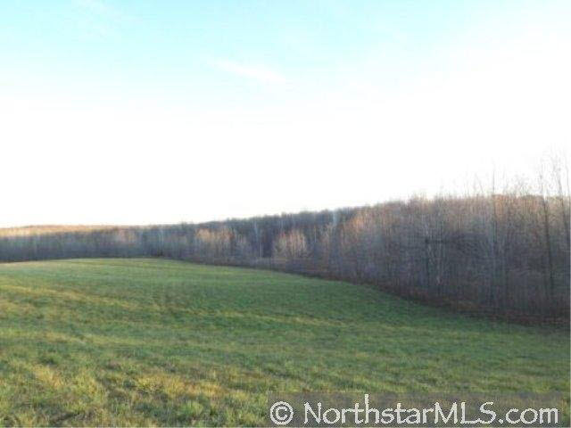 0 Woodland Valley Road Cadott, WI 54727 - Photo 8 of 8 Gallery Image 8