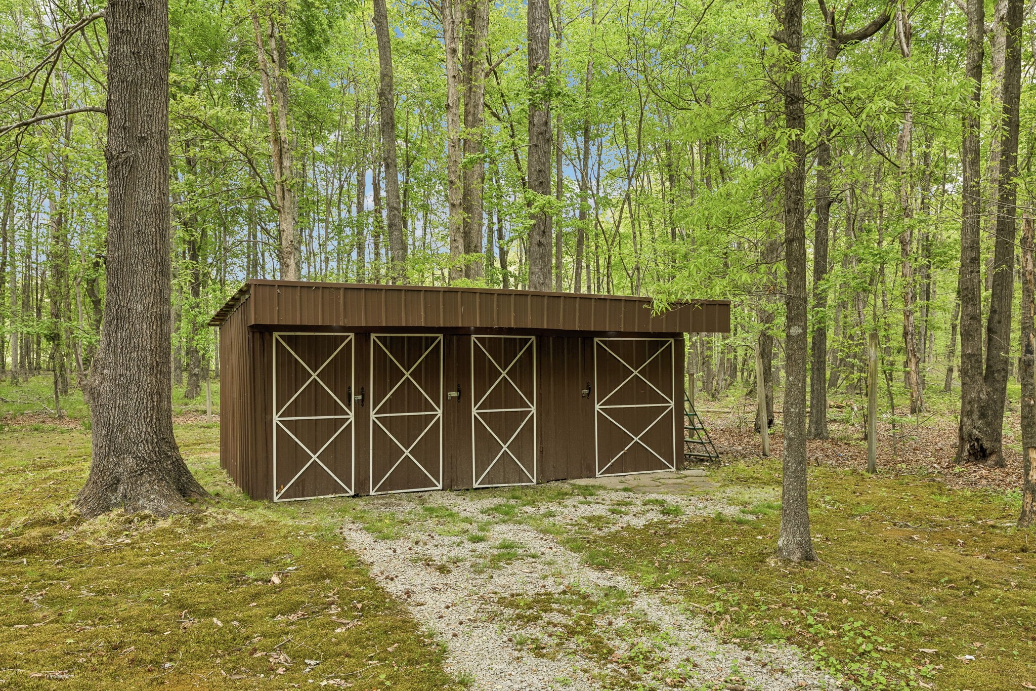 40 Lentz Road Summertown, TN 38483 - Photo 35 of 37 Gallery Image 35