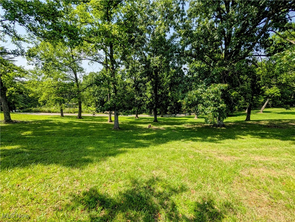77 Morgan Ridge Road Walker, WV 26180 - Photo 6 of 30 View of green lawn