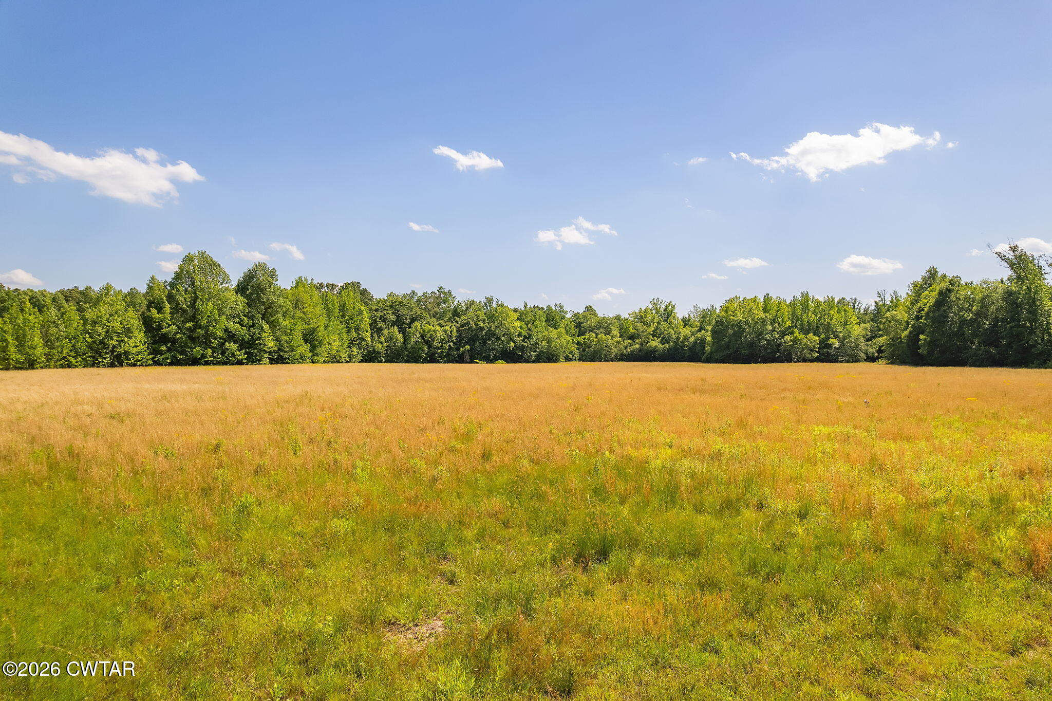 0 Plainview Road Henderson, TN 38340 - Photo 1 of 25 land