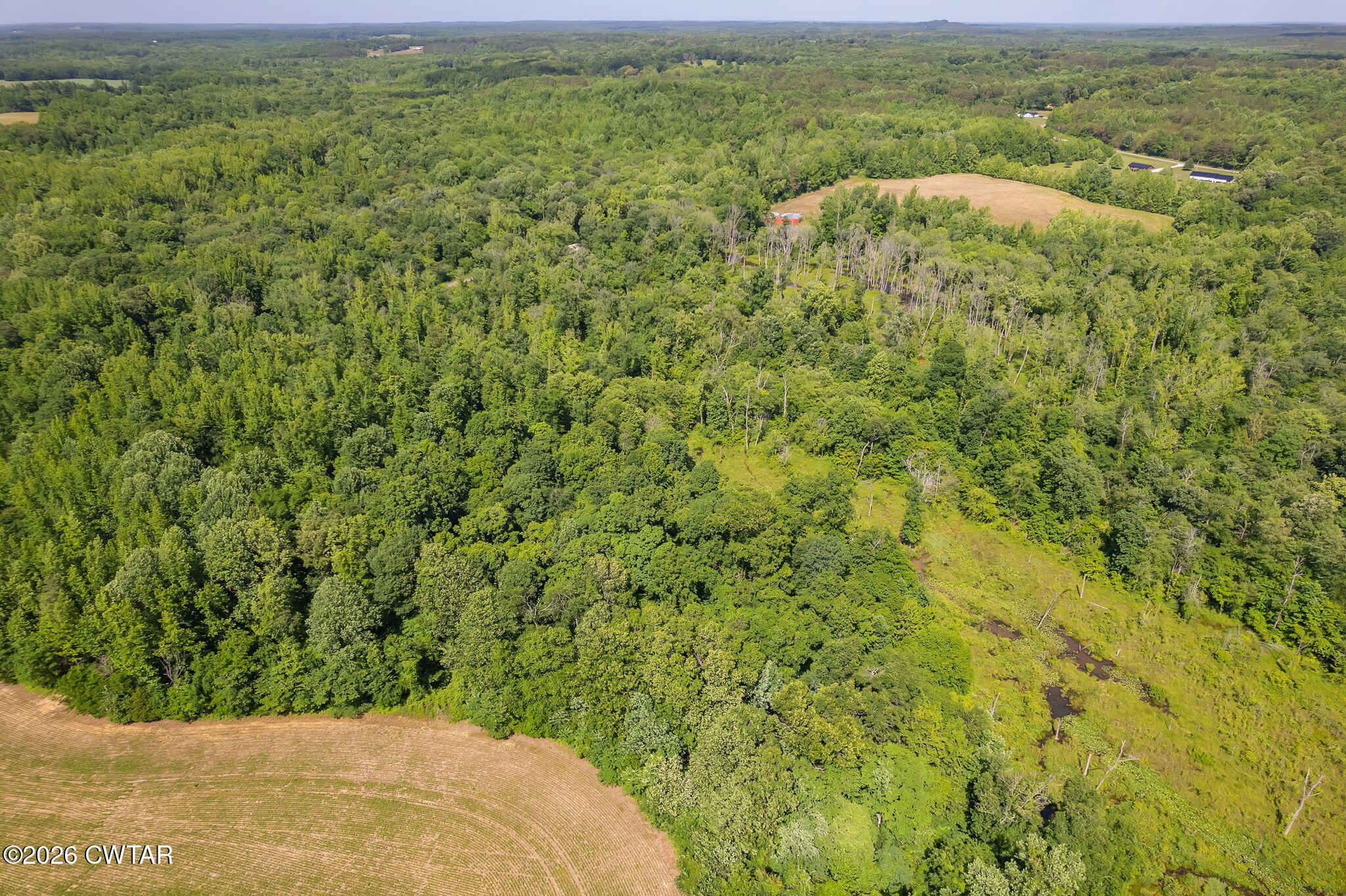 0 Plainview Road Henderson, TN 38340 - Photo 16 of 25 drone 8