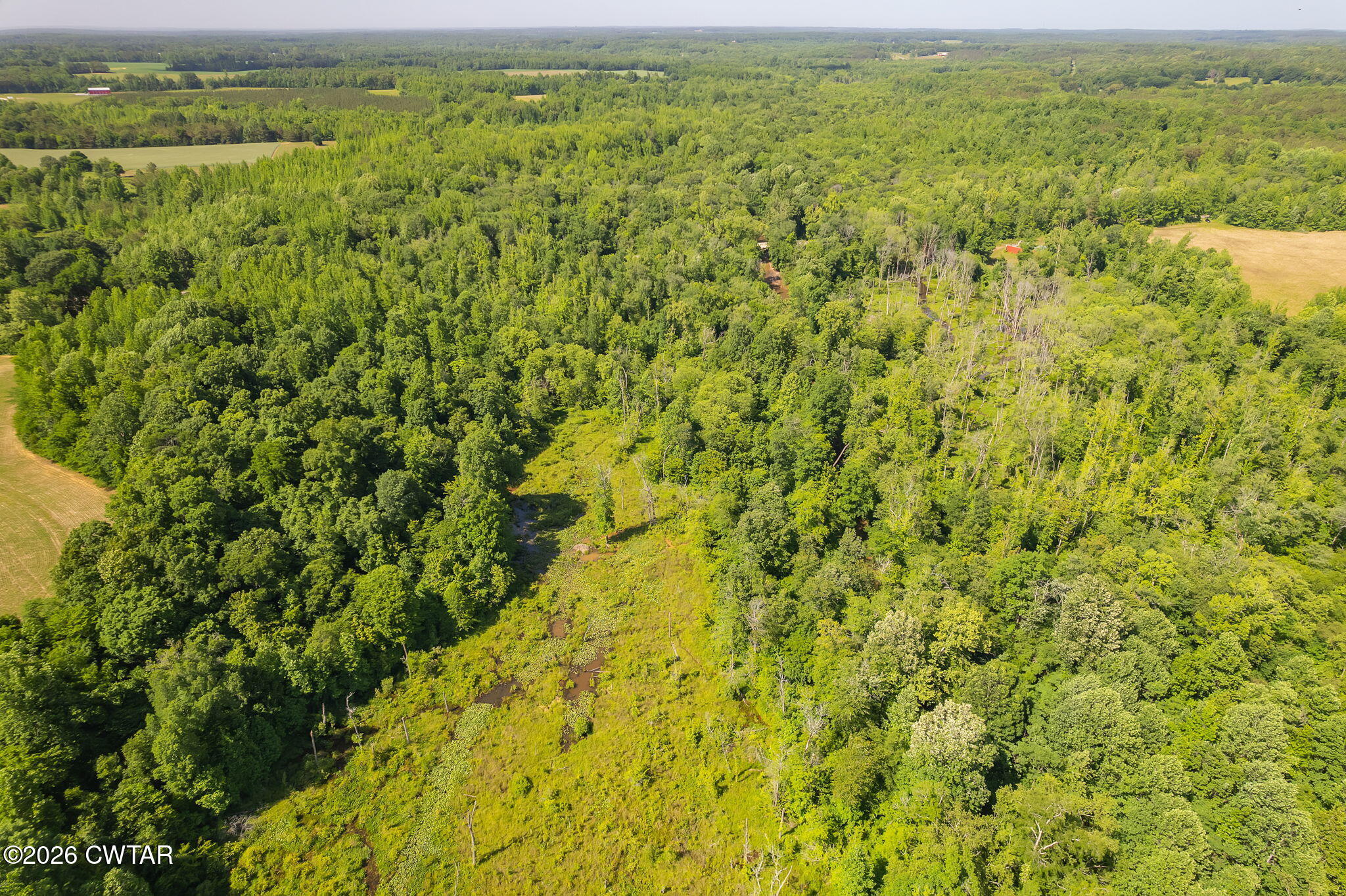 0 Plainview Road Henderson, TN 38340 - Photo 17 of 25 drone 9