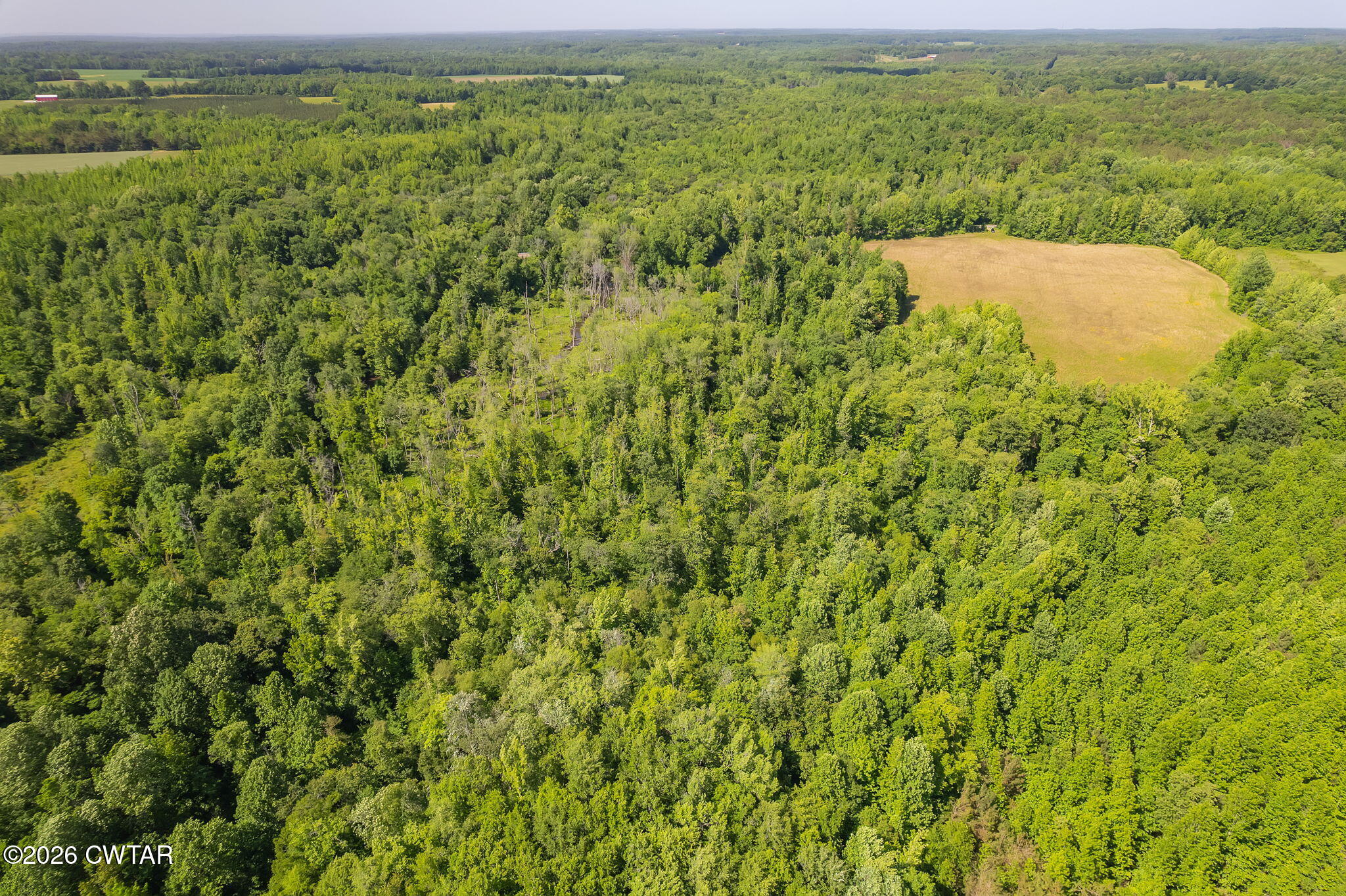 0 Plainview Road Henderson, TN 38340 - Photo 18 of 25 drone 10