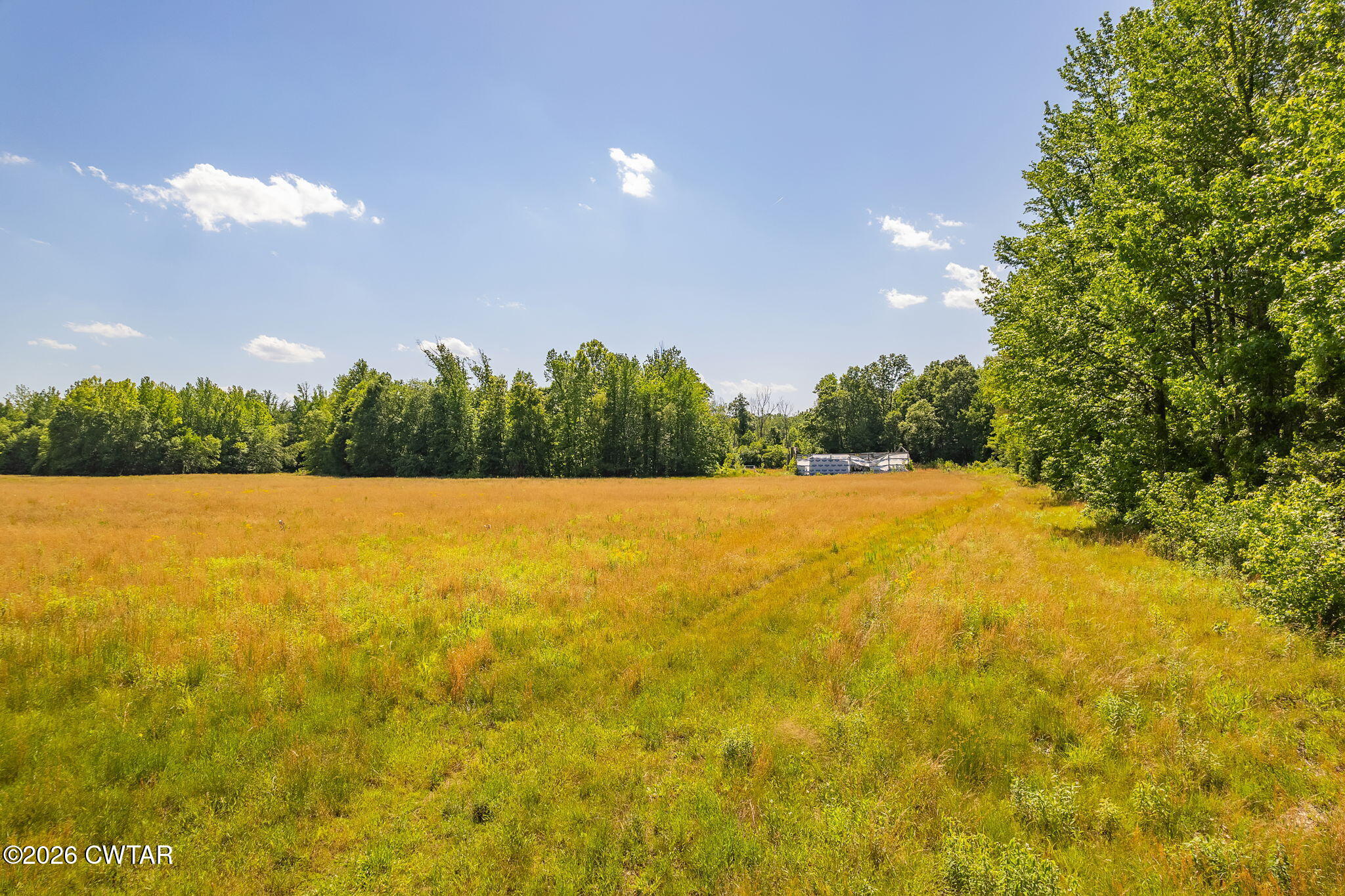 0 Plainview Road Henderson, TN 38340 - Photo 2 of 25 land 2