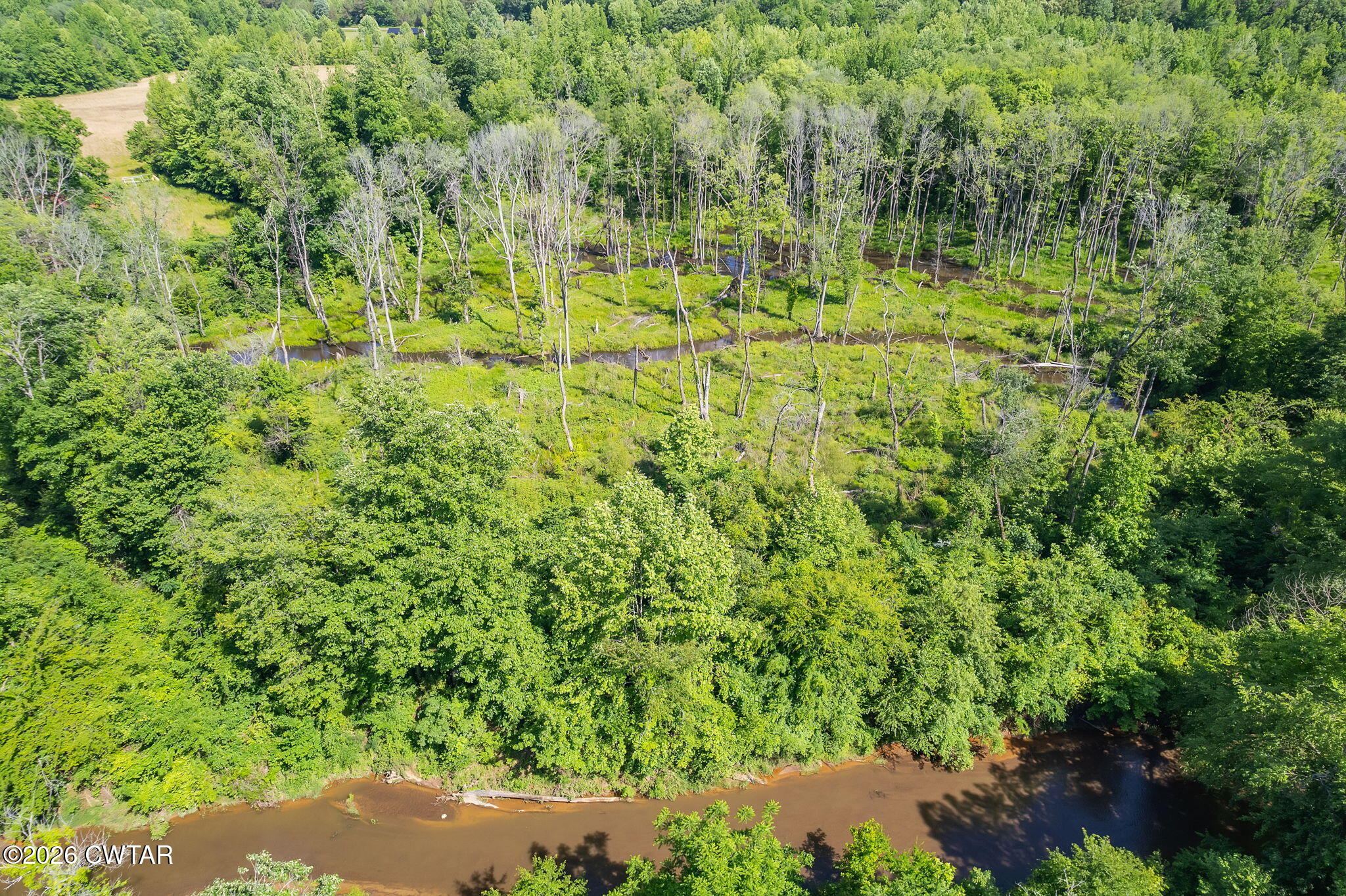 0 Plainview Road Henderson, TN 38340 - Photo 23 of 25 creek 2