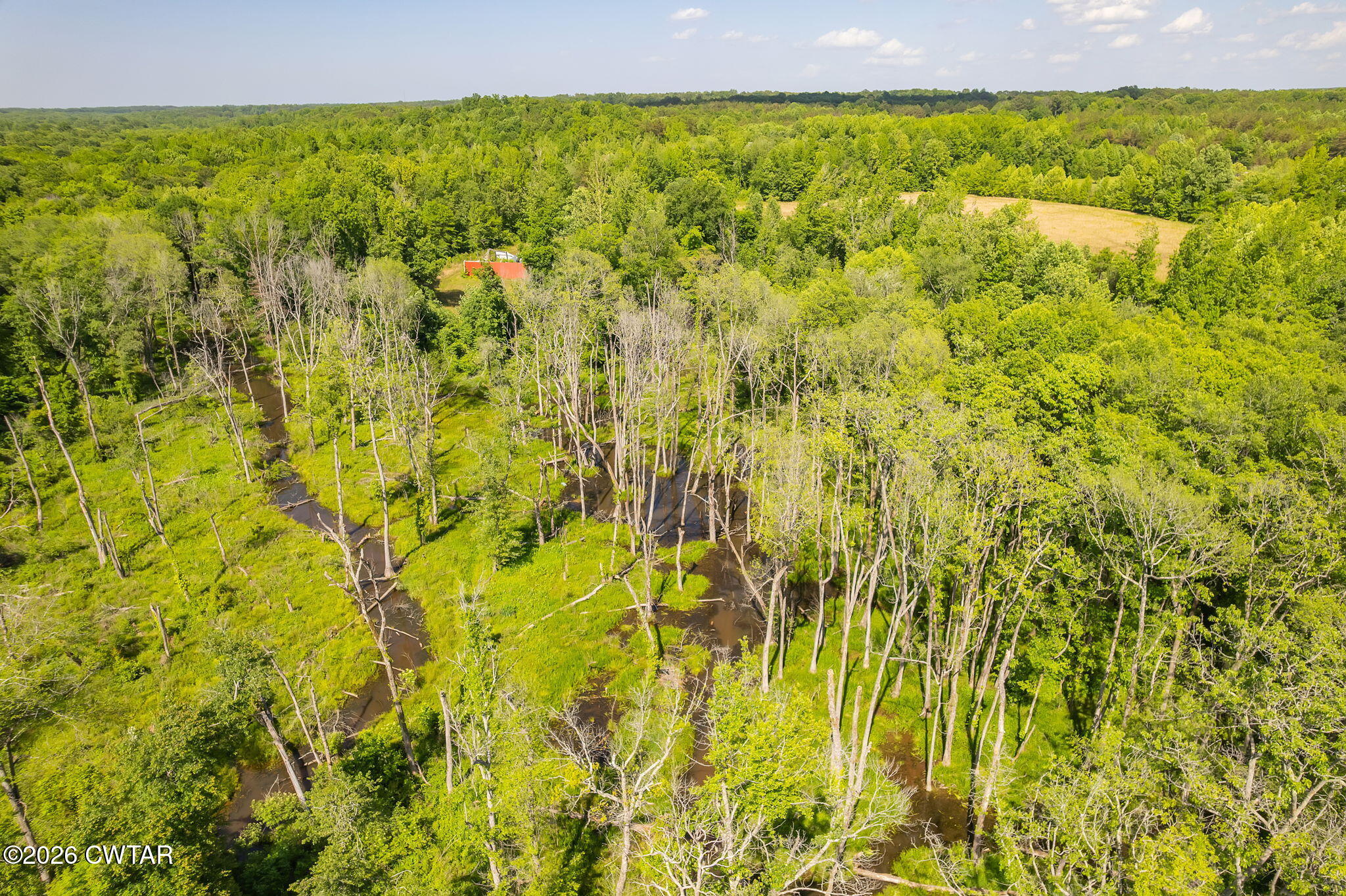 0 Plainview Road Henderson, TN 38340 - Photo 24 of 25 creek 3