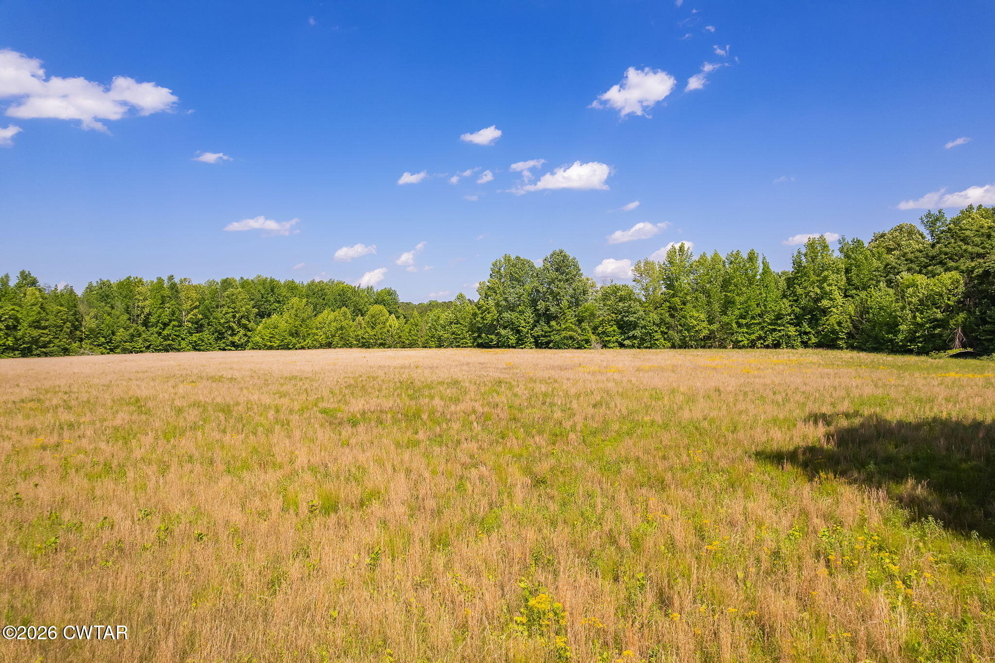 0 Plainview Road Henderson, TN 38340 - Photo 4 of 25 land 4