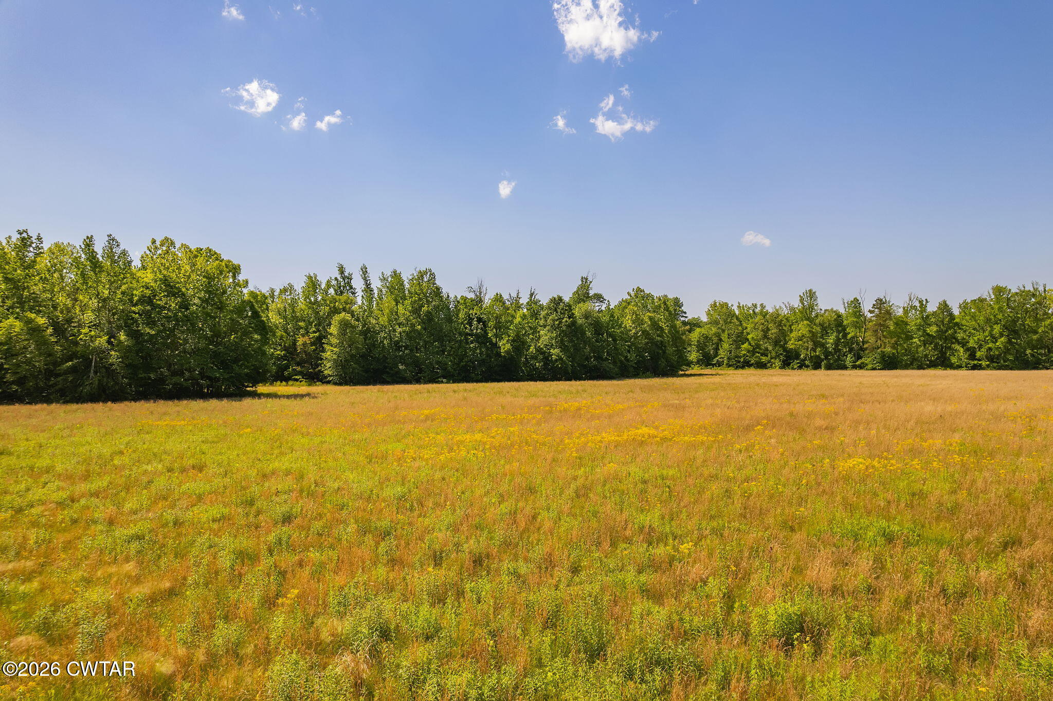 0 Plainview Road Henderson, TN 38340 - Photo 6 of 25 Land 6