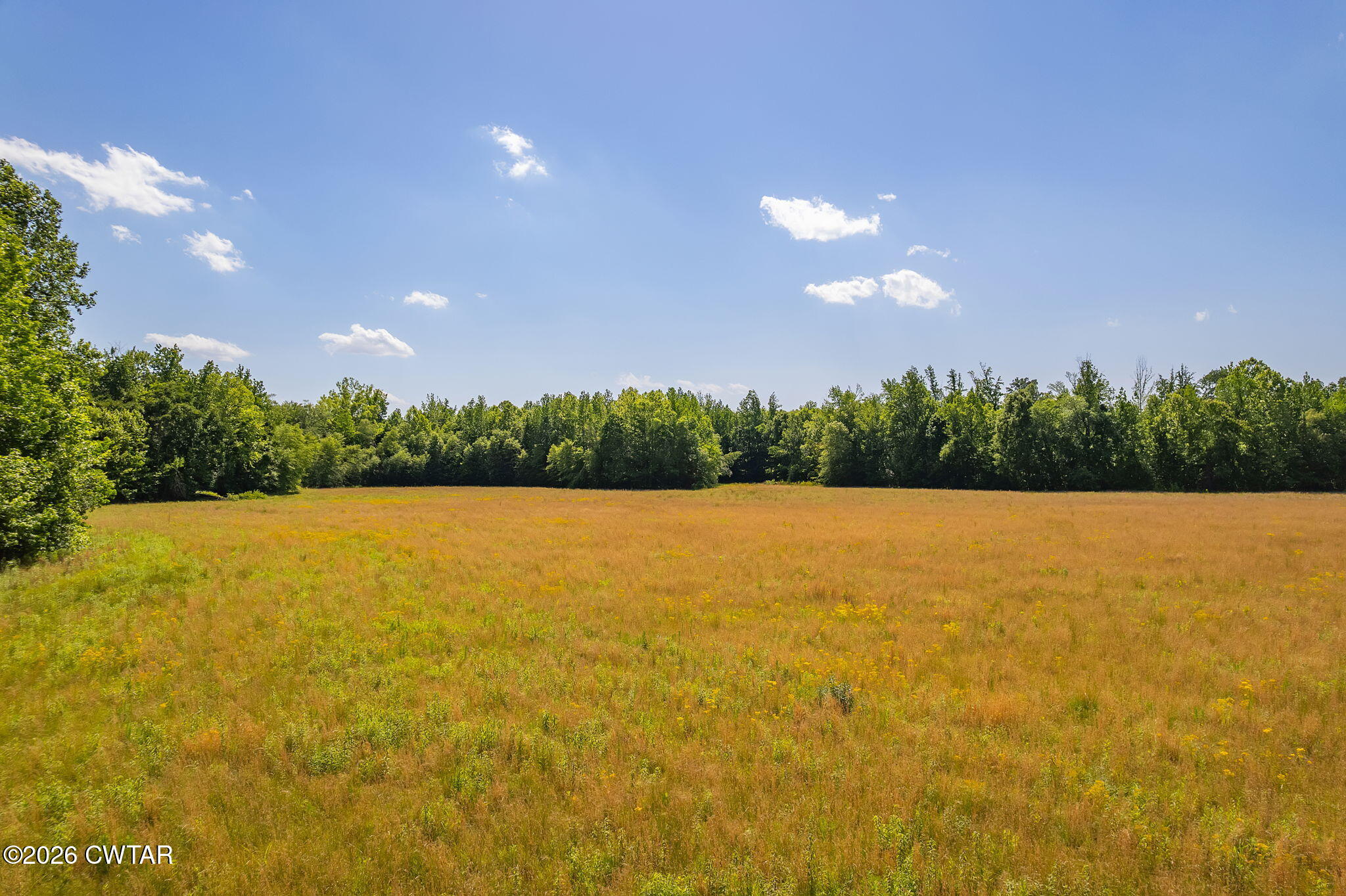0 Plainview Road Henderson, TN 38340 - Photo 7 of 25 Land 7