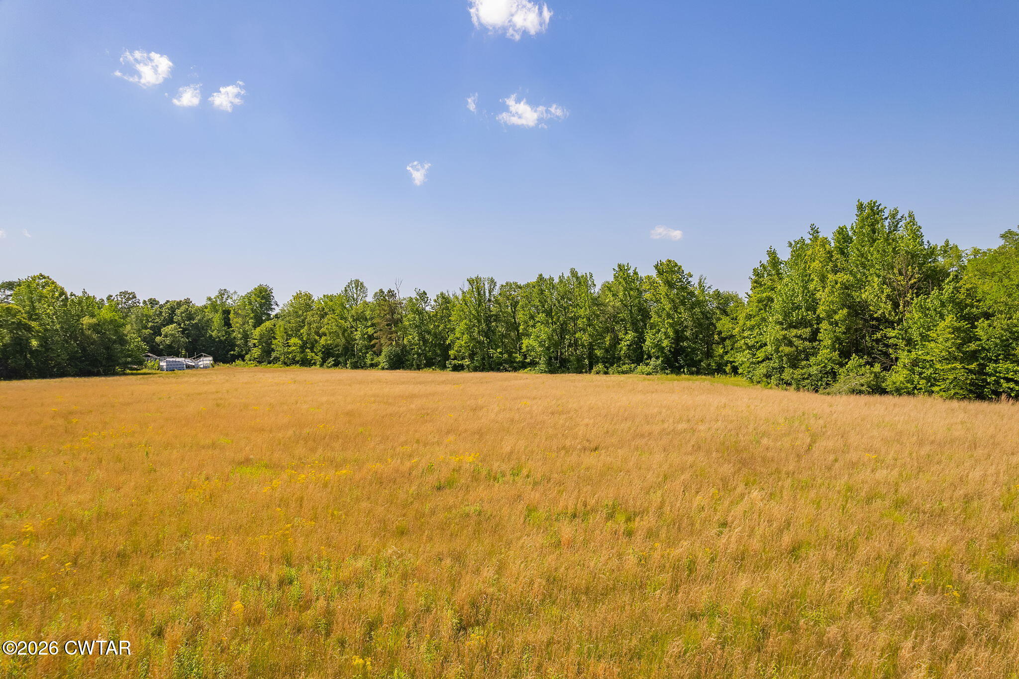 0 Plainview Road Henderson, TN 38340 - Photo 8 of 25 Land 8