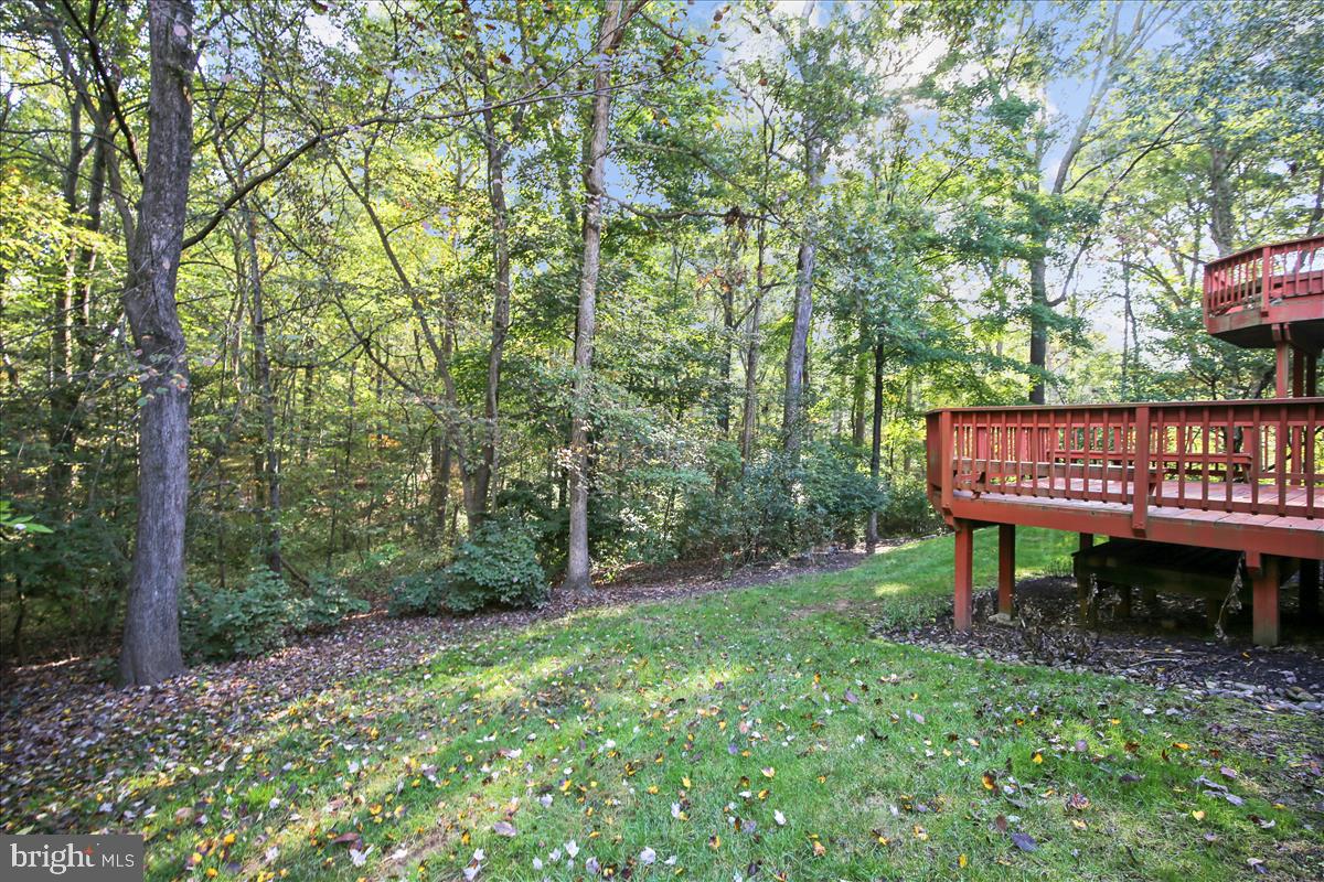 1417 Aldenham Lane Reston, VA 20190 - Photo 5 of 65 Privacy galore