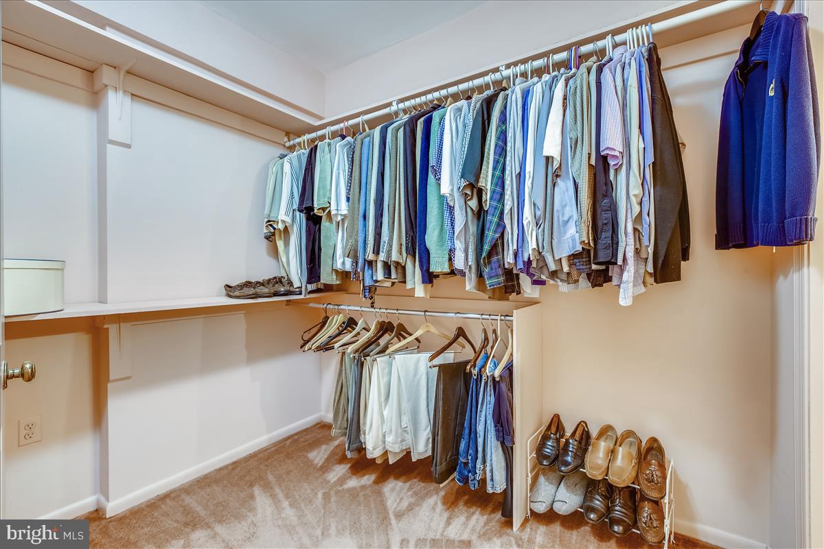 1417 Aldenham Lane Reston, VA 20190 - Photo 56 of 65 Walk-in closet