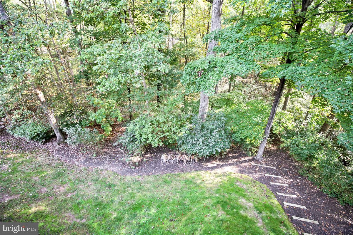 1417 Aldenham Lane Reston, VA 20190 - Photo 62 of 65 Natural buffer