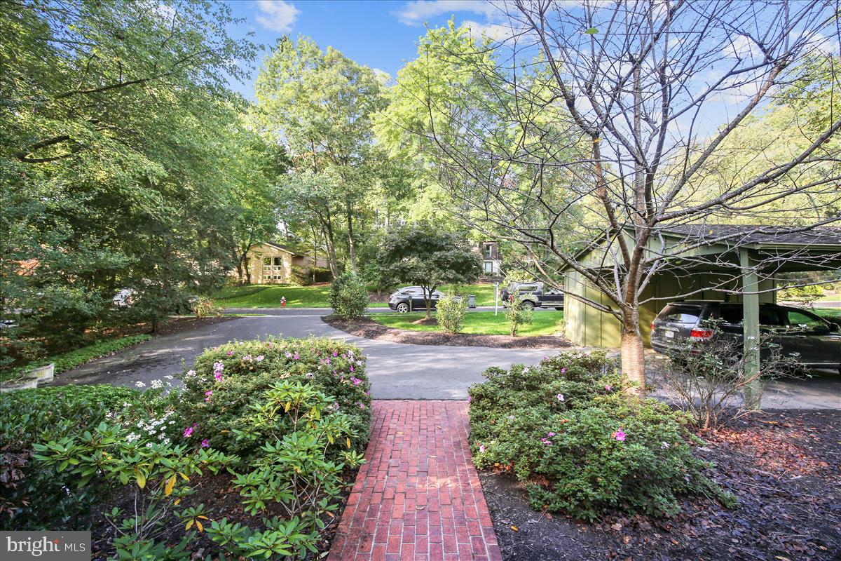 1417 Aldenham Lane Reston, VA 20190 - Photo 9 of 65 Brick walkway though mature azaleas