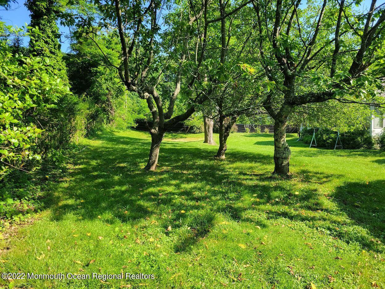 31 Robin Road Rumson, NJ 07760 - Photo 12 of 13 31 Robin ext back