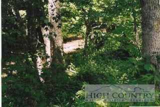 2 Beaver Dam Road Vilas, NC 28692 - Photo 1 of 1 Gallery Image 1