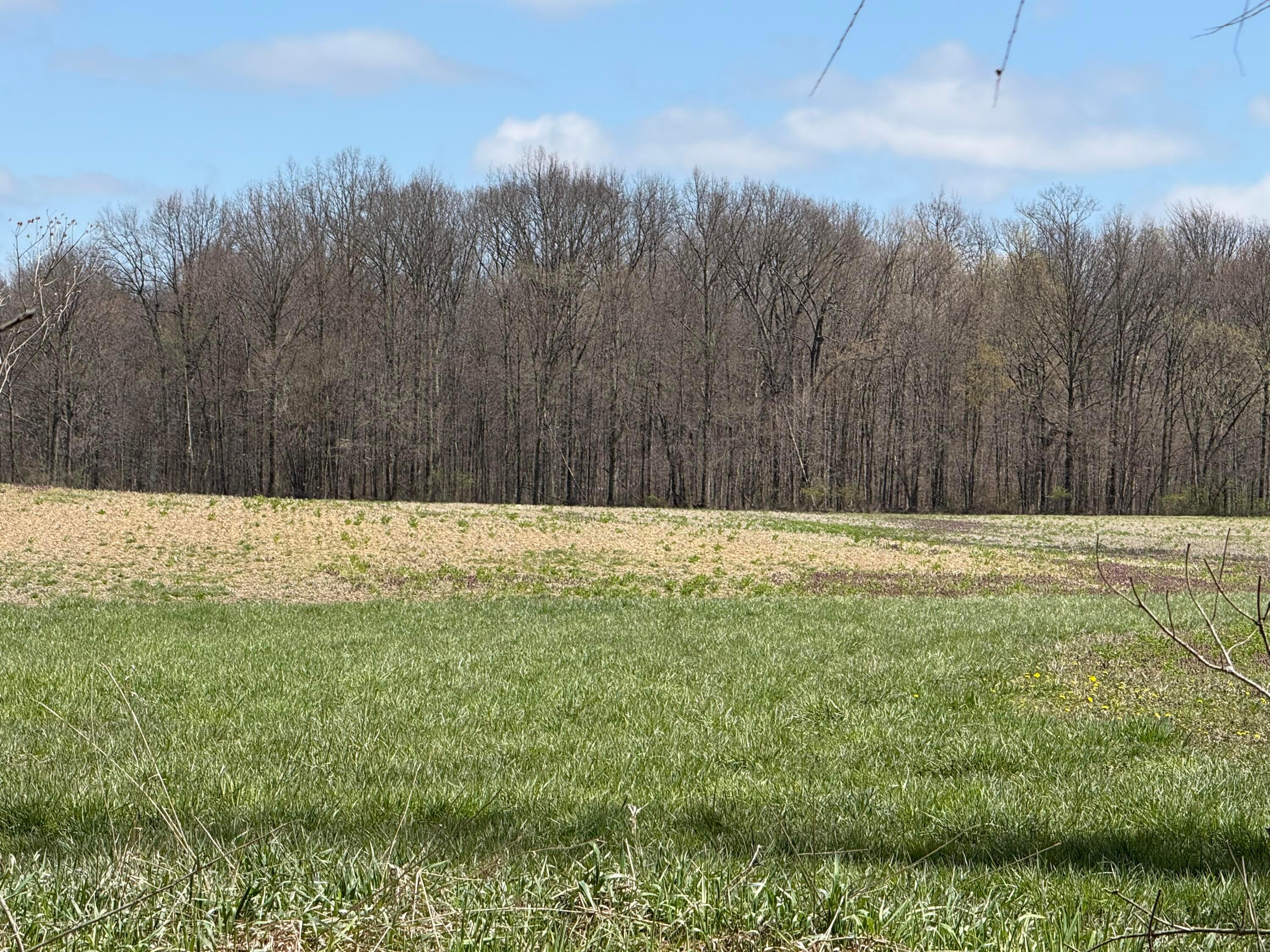 0 Twp Road Cardington, OH 43315 - Photo 2 of 3 IMG_1837